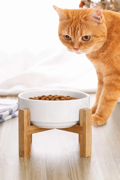MAtGo Pati Çam Ağacı Kedi Köpek Beslenme Mama ve Su Kabı Seramik Kaseli 500Ml Hacim Kaymaz Devrilmez 1 Ad. ürün görseli 1