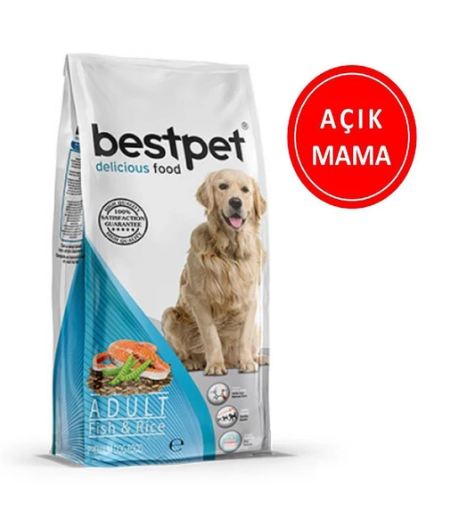 Bestpet Fish Balık Etli Yetişkin Köpek Maması 1 Kg AÇIK ürün görseli 1