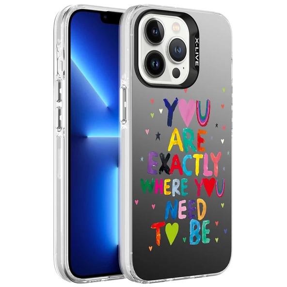 iPhone 13 Pro  Uyumlu KılıfDesenli Silver Sert Kapak ürün görseli 1