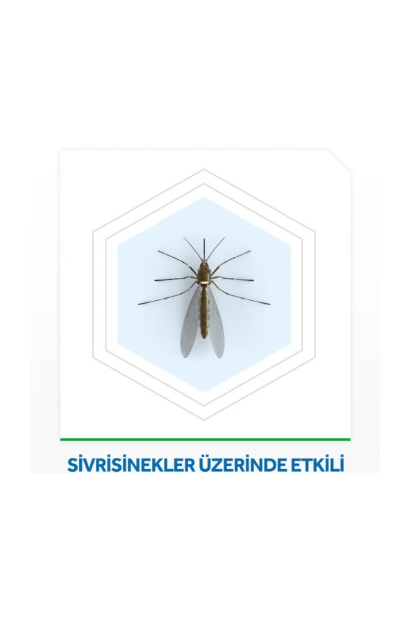 RAİD ELEKTRO LİKİT YEDEK ŞİŞE - Resim 2