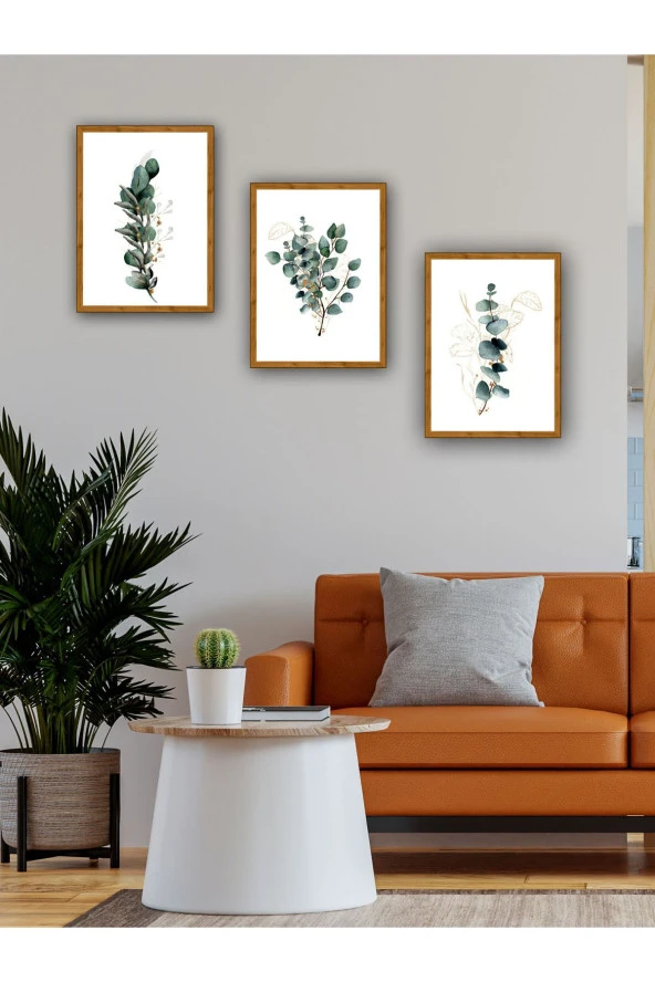 YALOVA SHOP Dekoratif Okaliptüs Dalları 3 lü Tablo Seti (Ahşap ceviz görünümlü çerçeve baskılı) 30 x 40 cm ürün görseli 1