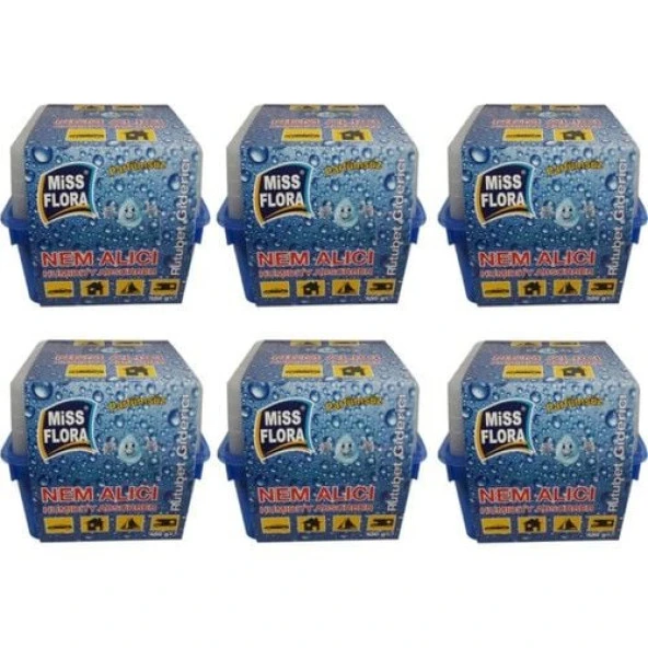 Miss Flora 6'lı Ekonomik Paket (6 adet 450 gr Nem Alıcı) ürün görseli 1