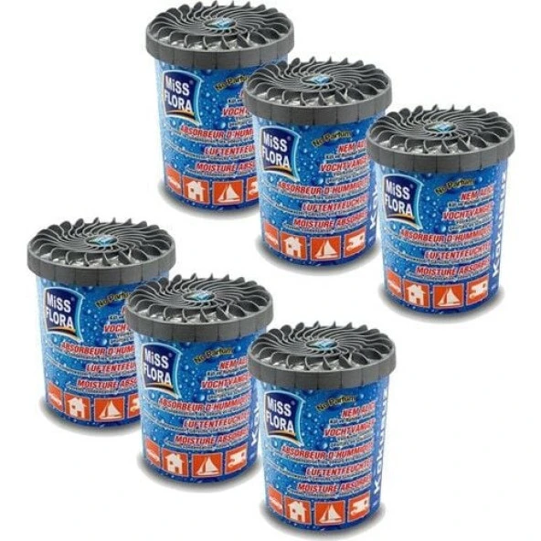 Miss Flora 6'lı Ekonomik Paket (6 adet 200 gr Nem Alıcı) ürün görseli 1