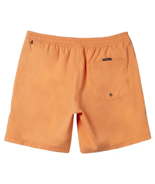 Quıksılver EVERYDAY SOLID VOLLEY 15 Erkek Şort AQYJV03153-QK.NJF0 ürün görseli 1