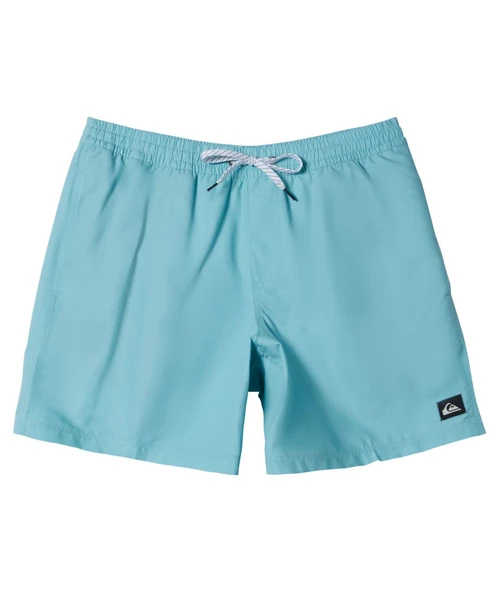 Quıksılver EVERYDAY SOLID VOLLEY 15 Erkek Şort AQYJV03153-QK.BHA0 ürün görseli 1