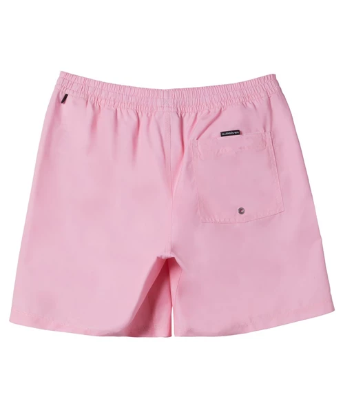 Quıksılver EVERYDAY SOLID VOLLEY 15 Erkek Şort AQYJV03153-QK.MEQ0 ürün görseli 1