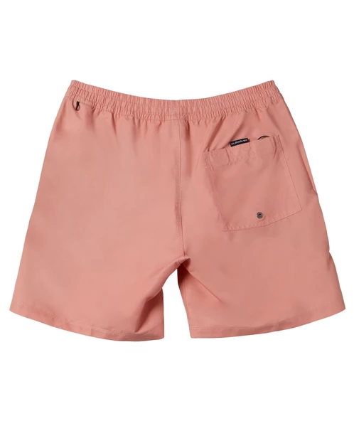 Quıksılver EVERYDAY SOLID VOLLEY 15 Erkek Şort AQYJV03153-QK.MJR0 ürün görseli 1