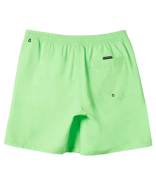 Quıksılver EVERYDAY SOLID VOLLEY 15 Erkek Şort AQYJV03153-QK.GGY0 ürün görseli 1