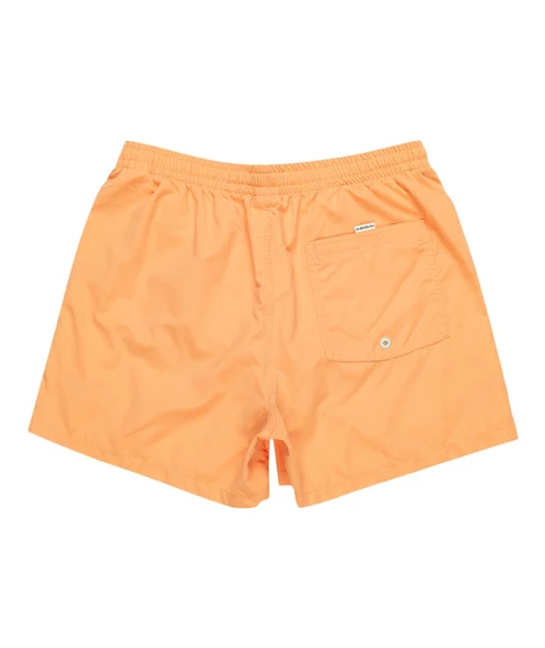 Quıksılver BEHIND WAVES Erkek Şort EQYJV04061-QK.NJF0 ürün görseli 1