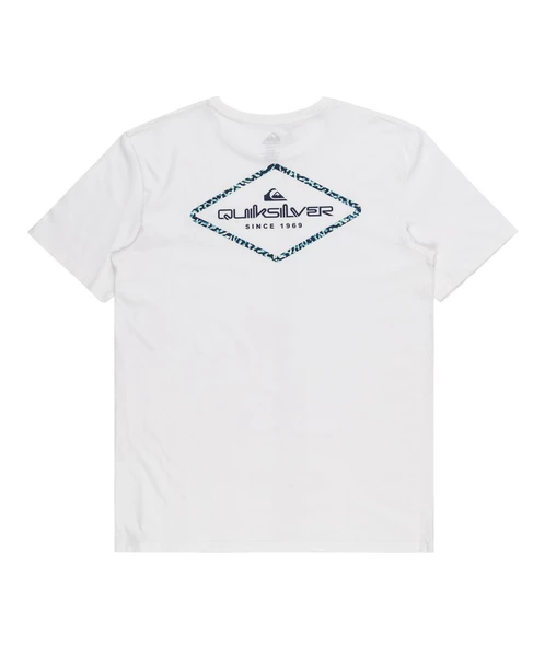 Quıksılver OMNI LOCK Erkek T-shirt EQYZT07667-QK.10 ürün görseli 1