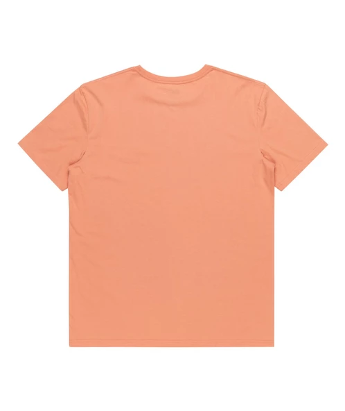 Quıksılver TRADESMITH SS Erkek T-shirt EQYZT07659-QK.MJR0 ürün görseli 1