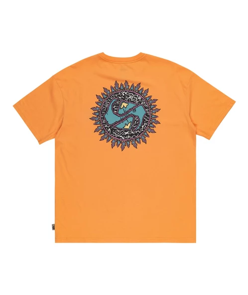 Quıksılver SPIN CYCLE SS Erkek T-shirt EQYZT07653-QK.25178 ürün görseli 1