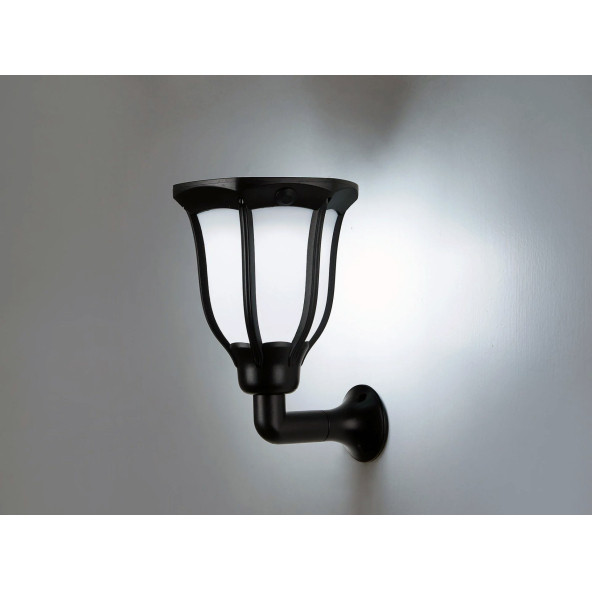 15W Ariel Solar Bahçe Armatürü Beyaz Işık YL74-1011-S ürün görseli 1