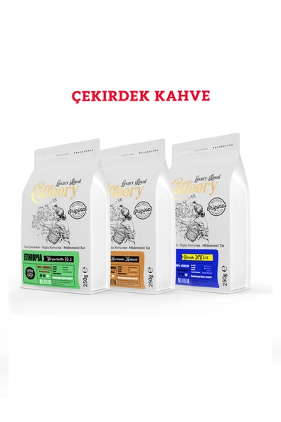 Üçlü Avantaj Paketi Altın Seri Yöresel Filtre Kahve 3x250 gr (Çekirdek) ürün görseli 1