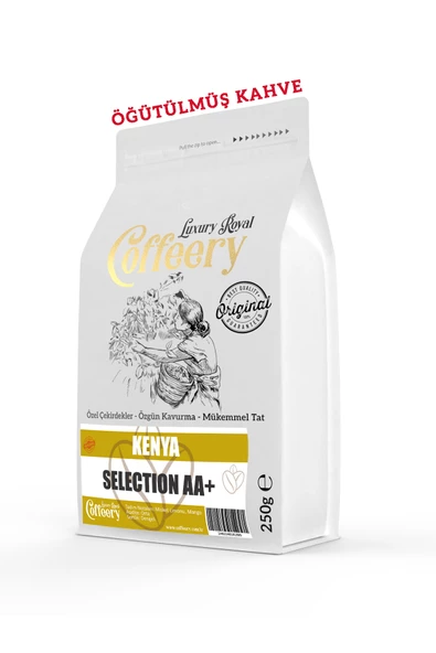 Kenia AA+ Mount Selection Yöresel Kahve 1000 gr (Öğütülmüş) ürün görseli 1