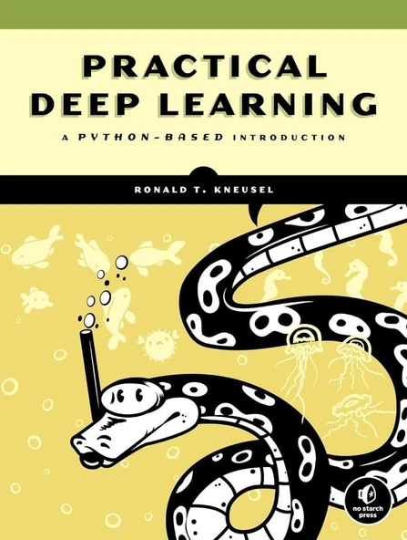Practical Deep Learning: A Python-Based Introduction Ronald T. Kneusel ürün görseli 1