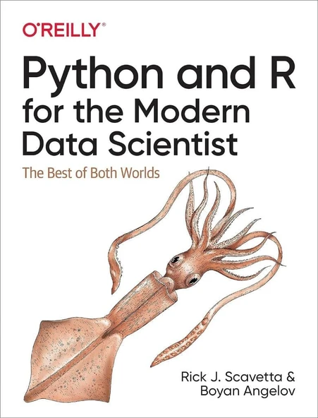 Python and R for the Modern Data Scientist: The Best of Both Worlds Scavetta Angelov ürün görseli 1