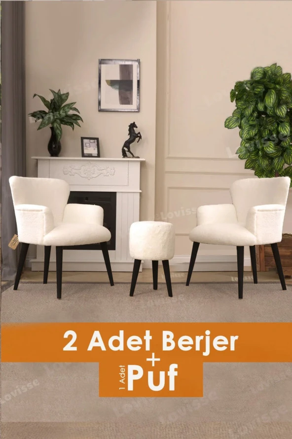 LOVİSSE HOME Berjer Set Tekli Koltuk Balkon, Ofis, Bekleme, Güzellik Merkezi, Çay Seti ürün görseli 1
