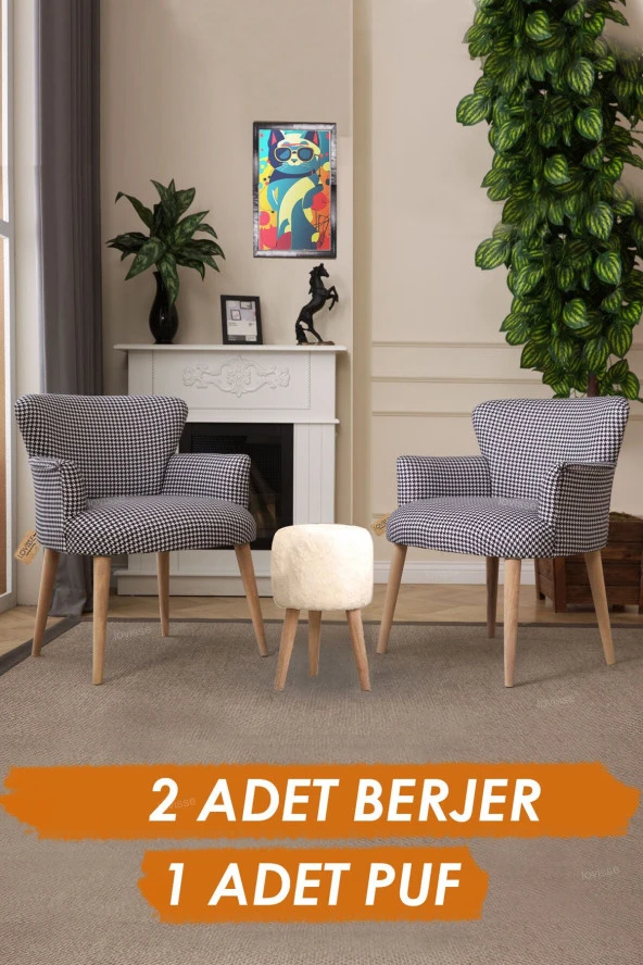 LOVİSSE HOME Berjer Set Tekli Koltuk Balkon, Ofis, Bekleme, Güzellik Merkezi, Çay Seti, Sandalye,puf ürün görseli 1