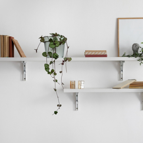 Eget Kalp Kalbe Karşı Çiçeği (Ceropegia Woodii)-Beyaz saksılı ürün görseli 1