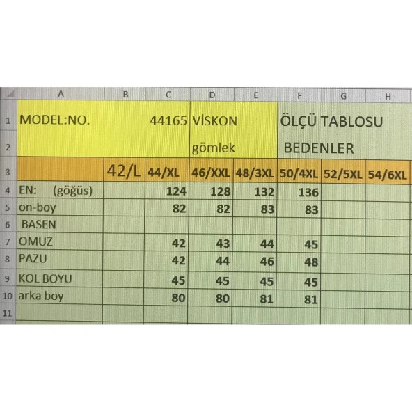 Büyük Beden Viskon Kadın Gömlek - Resim 4