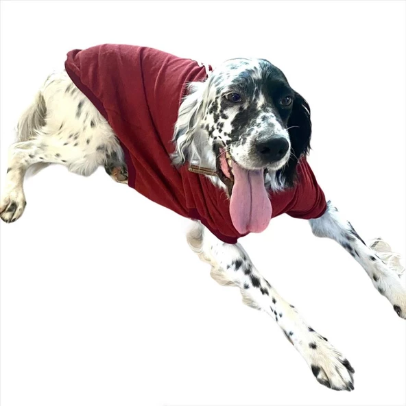 Bordo Tişört Büyük Köpekler İçin ürün görseli 1
