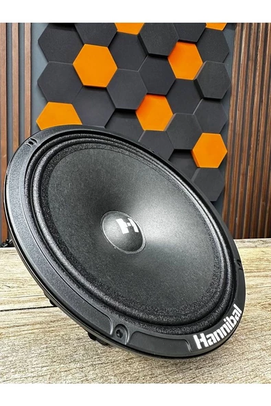 Deaf Bonce Hannibal HM-8E+ Özel Seri 20 Cm Midrange Plus Seri ürün görseli 1