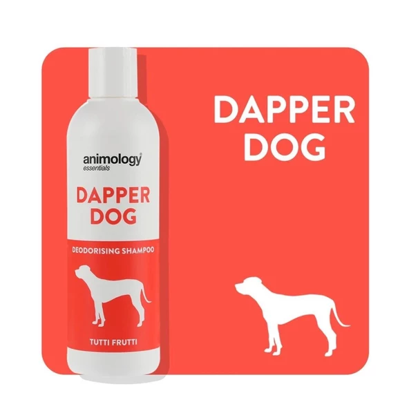 Animology Essentials Dapper Dog Shampoo Köpek Şampuanı 250 ML ürün görseli 1