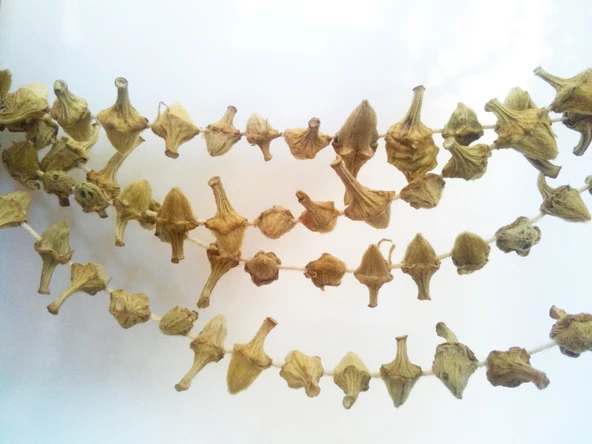 Meşhur Kargı Kuru Çiçek Bamyası-(500 GR) ürün görseli 1