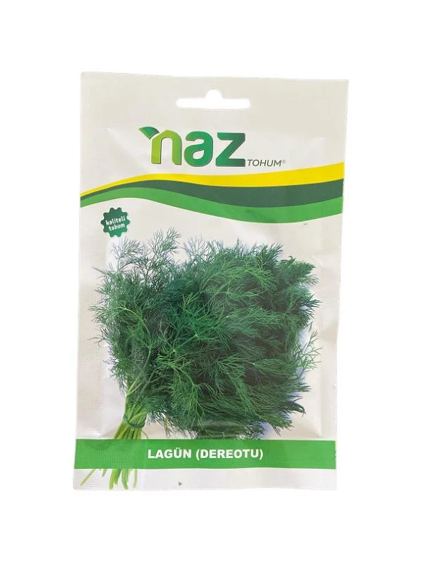 Naz Tohum Dereotu Lagün 25 gr ürün görseli 1
