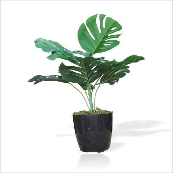 Yapay Uzun 40 cm Çimli Saksılı Monstera Deliciosa Deve Tabanı Kauçuk Çiçeği Bitkisi Ağacı Yaprağı ürün görseli 1