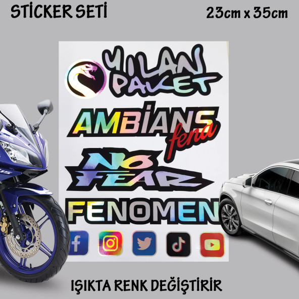 yılan paket fenomen otomobil motosiklet cam uyumlu çoklu oto sticker - hologram etkili set çıkartma ürün görseli 1