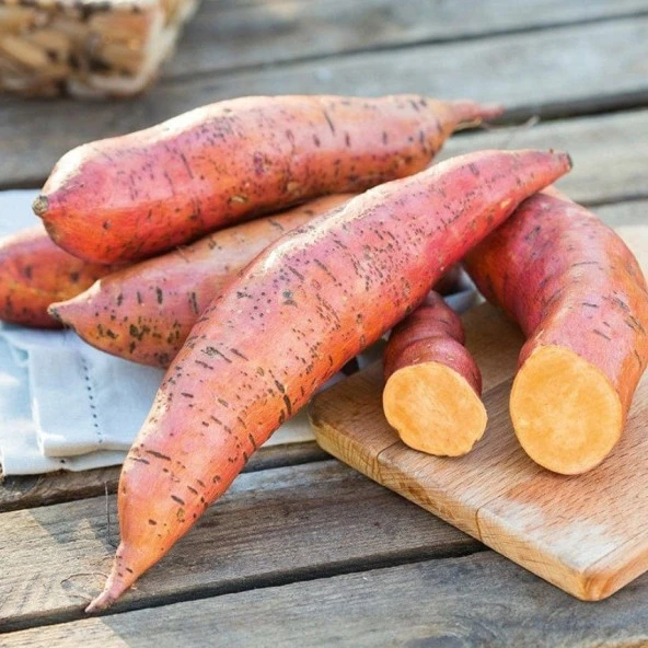 Erato Deep Orange Turuncu Tatlı Patates Fidesi(1 Adet) ürün görseli 1