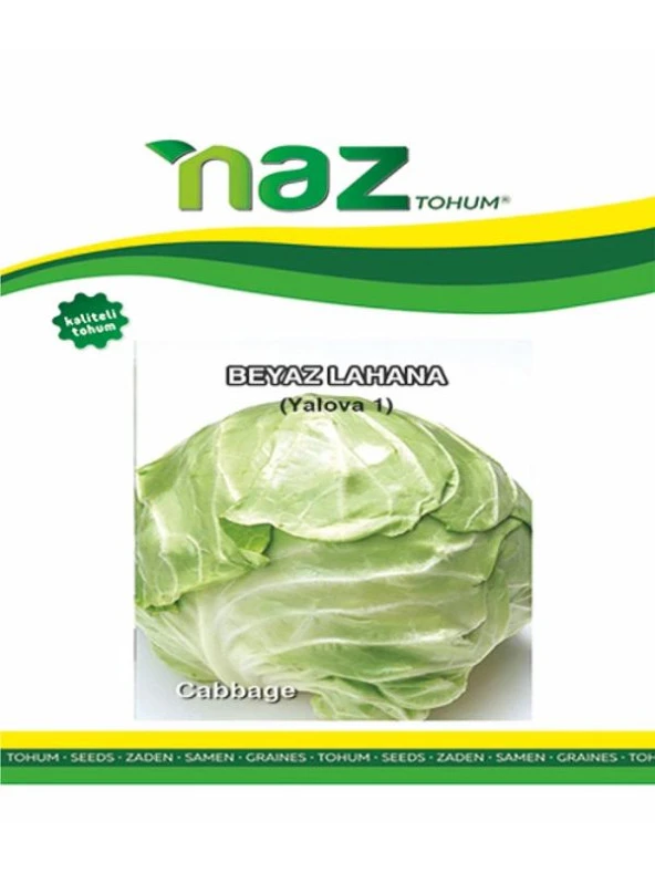Naz Tohum Lahana Yalova 10 gr ürün görseli 1