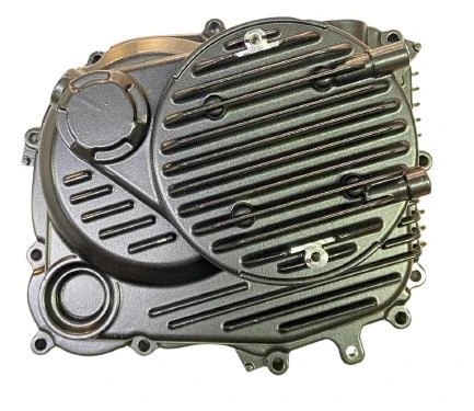 TVS RAIDER 125 (E5) KRANK KUTUSU SAĞ KAPAK  ORJİNAL ürün görseli 1