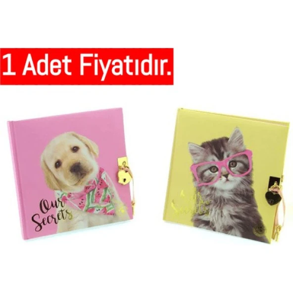Dolphin Hatıra Defteri Studıo Pets Kilitli Pt-7790 ürün görseli 1