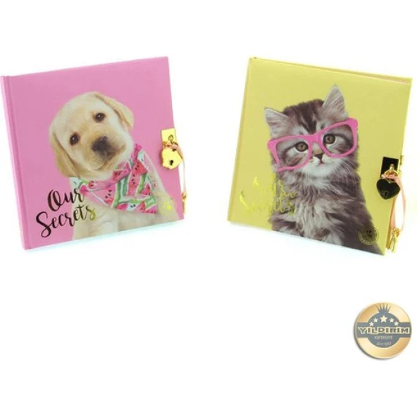 Dolphin Hatıra Defteri Studıo Pets Kilitli Pt-7790 - Resim 2