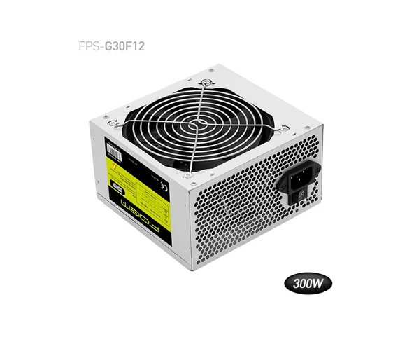 Foem 300W (FPS-G30F12) ürün görseli 1