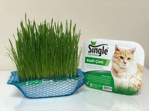 Single Natural Kedi Çimi ürün görseli 1