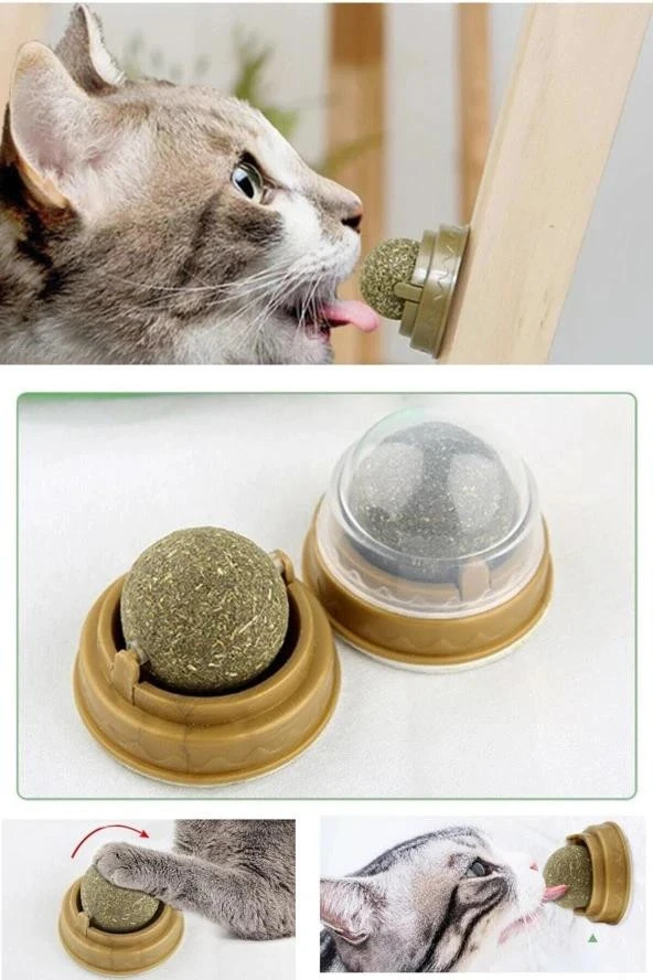 Duvara Yapışan Dönen Kedi Nanesi Cat Oyun Topu Doğal Kedi Oyuncağı ürün görseli 1