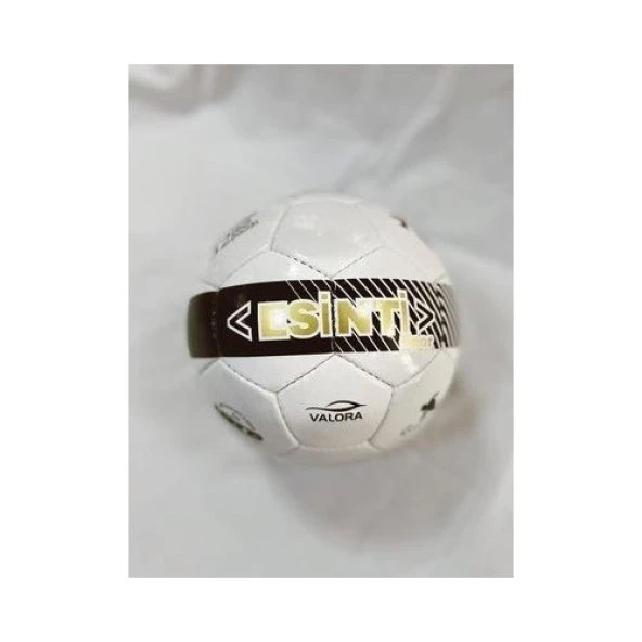 Vertex Futbol Topu Mini No:2 ürün görseli 1