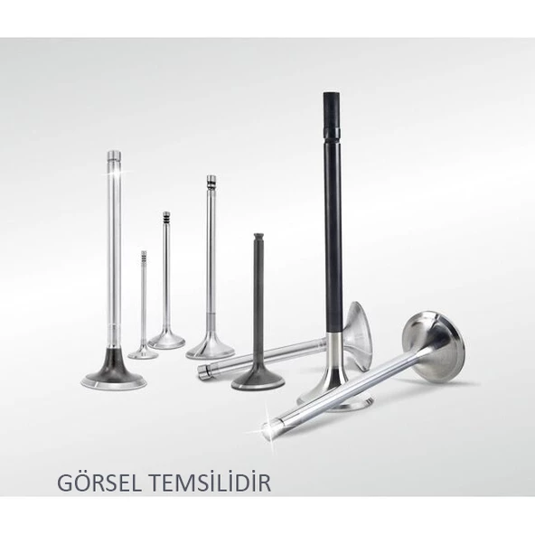SUPAP TAKIMI TOYOTA HILUX 2.4L 2L 2L-T 8V LN85 LN145 LN105 90-04 2.8L 3L LN106 4X4 8V 88-94 / HIACE 2.4L 2L LH112 LH114 8V 89- - TEK TIRNAK ürün görseli 1