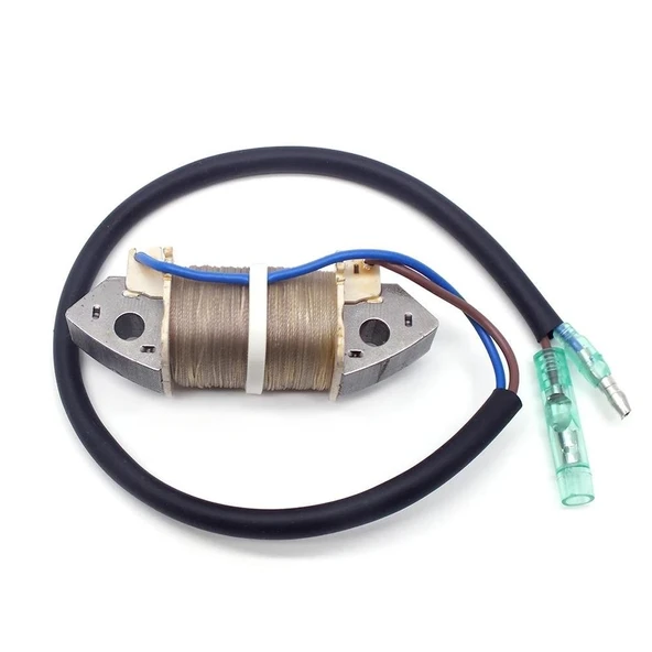 Tomking TK098-S/TK098-L Deniz Motoru Elektronik Bobin ürün görseli 1