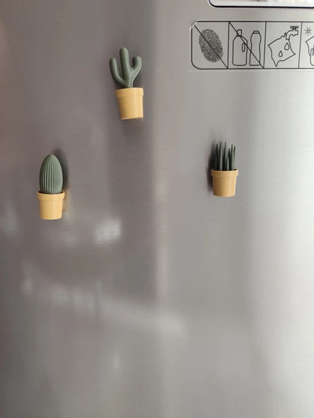 Ev Dekorasyon Buz Dolabı Magnet Succulet 3 Adet - Resim 2