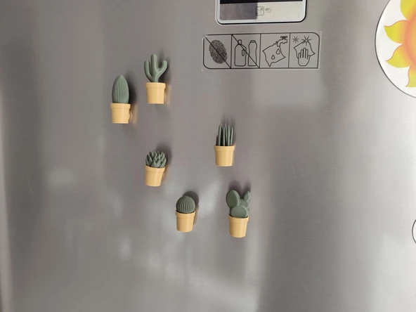Ev Dekorasyon Buz Dolabı Magnet Succulet 3 Adet - Resim 3