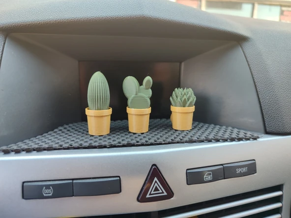Otomobil Torpido Süsü Kaktüs Sukulent Cactus Succulent Süsü 3'Lü Ürün ürün görseli 1