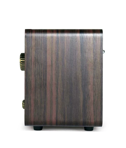 Looptone DSY-R08 Retro Radyo Espresso - Resim 5