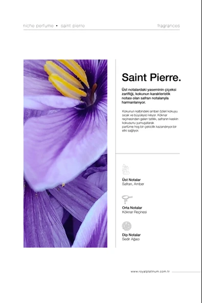 SAINT PIERRE 50 ML NICHE PARFÜM ürün görseli 1