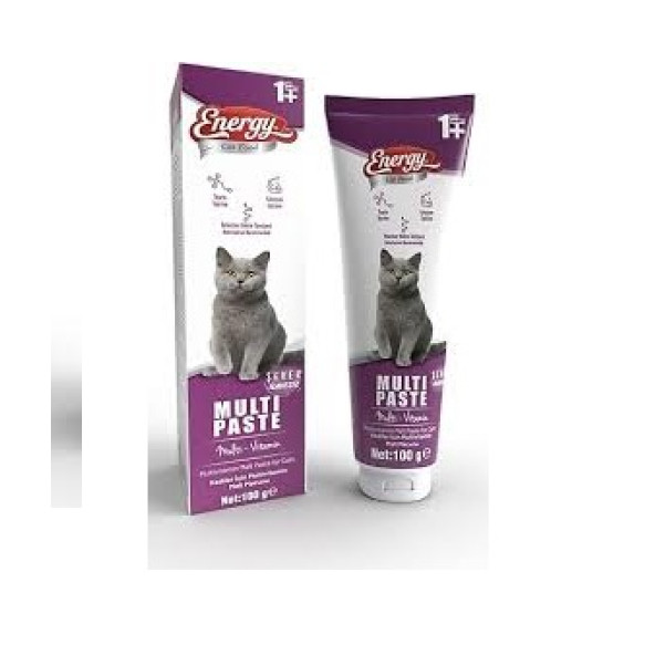 ENERGY YETİŞKİN KEDİ  MULTI PASTE 100GR 1+ YAŞ ürün görseli 1