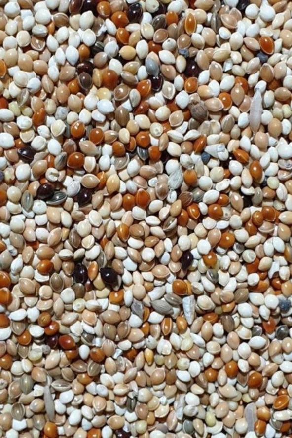 KARIŞIK Kaliteli Lüks Özel  Muhabbet Kuşu Yemi 5 Kg ürün görseli 1
